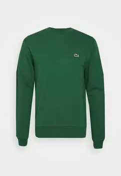 Толстовка Lacoste, зеленый