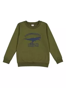 Толстовка lamino, хаки