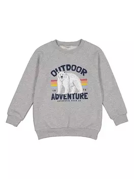 Толстовка lamino, серый