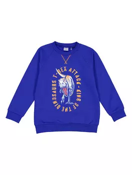 Толстовка lamino, синий