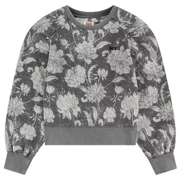 Толстовка Levi's Discharge Meet&Greet, серый