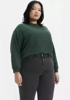 Толстовка Levi's Plus "ЕЖЕДНЕВНАЯ СВИТШИРТА", цвет Darkest Spru