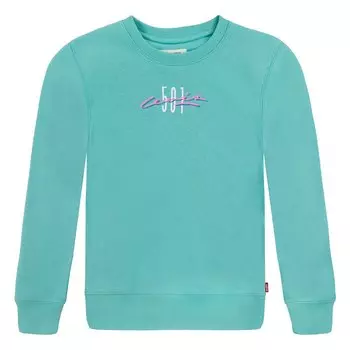 Толстовка Levis 501 Archival, зеленый