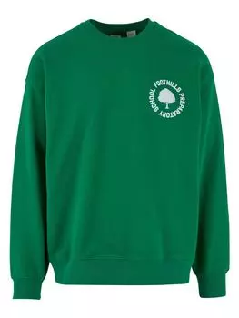 Толстовка Levis, цвет crew foothills medium green