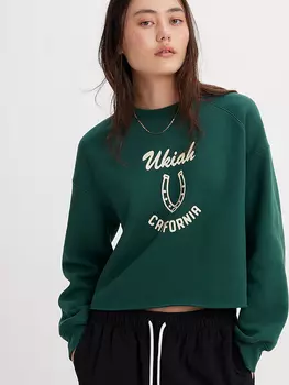 Толстовка Levis Graphic Campout, зеленый