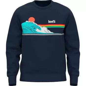 Толстовка Levis T2 Graphic, синий