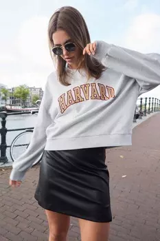 Толстовка Licensed Harvard University Graphic Collegiate с надписью Next, серый
