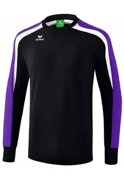 Толстовка LIGA Erima, цвет schwarz / violet
