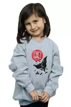 Толстовка «Лига справедливости» с изображением Бэтмена и «Лунного прыжка» DC Comics, серый