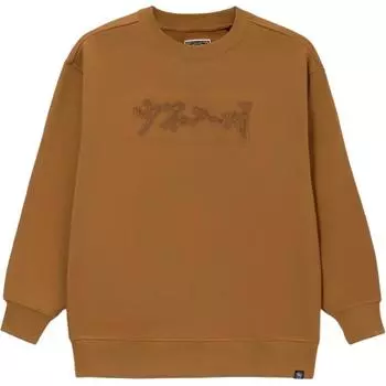 Толстовка LiNing Unisex Longan Umber, Longan Umber