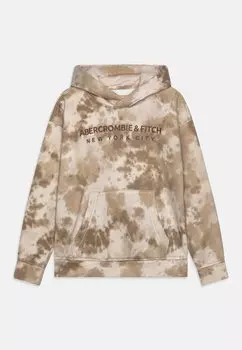 Толстовка LOGO Abercrombie & Fitch, цвет tan