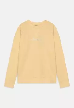 Толстовка LOLIA Bench, цвет butter