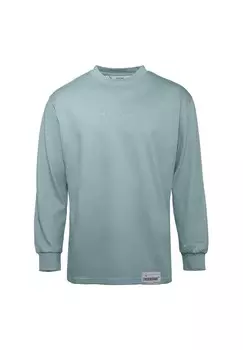 Толстовка LONGSLEEVE Reichstadt, серый