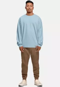 Толстовка LONGSLEEVE Reichstadt, светло-голубой