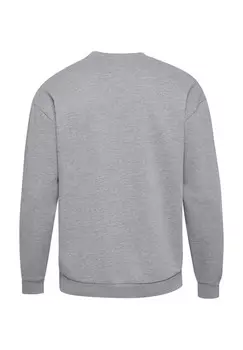Толстовка LOOSE CREWNECK UNIVERSITY BEE Hummel, серый