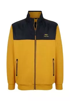 Толстовка LUCIVENZA BABISTA, желтый