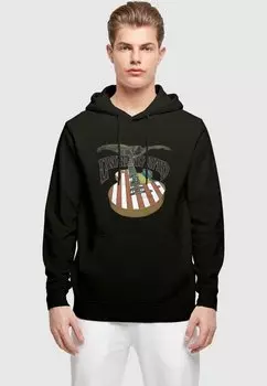 Толстовка LYNYRD SKYNYRD - USA ROCK BAND - Hoodie Merchcode, черный