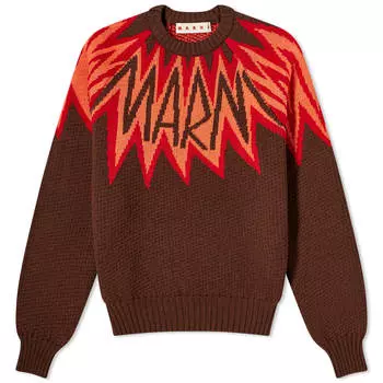 Толстовка Marni Fire Island Crew Sweat, цвет Chestnut