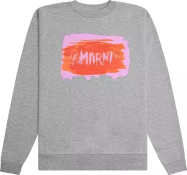 Толстовка Marni Logo Sweatshirt 'Inox', серый