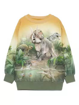 Толстовка Mattis Molo, зеленый