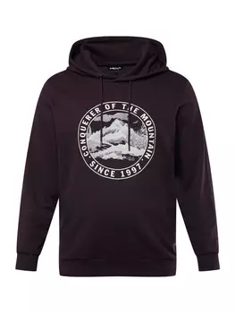 Толстовка Men Plus, цвет dunkel violett