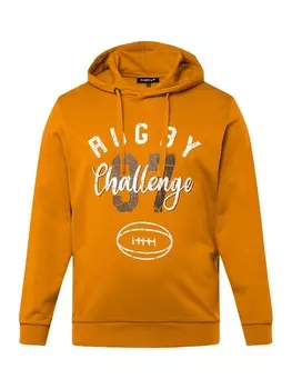 Толстовка Men Plus, цвет zimt