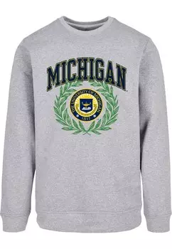 Толстовка Merchcode Michigan University - Artes Scientia Veritas, серый