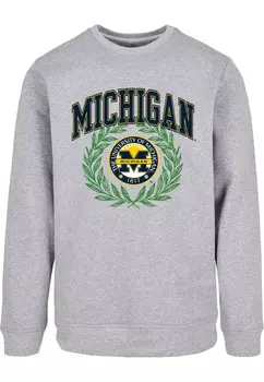 Толстовка Merchcode Michigan University, серый