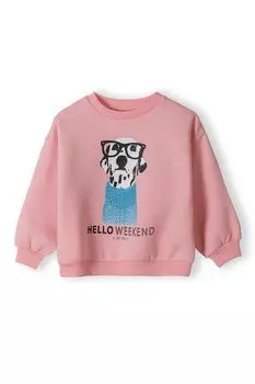 Толстовка Minoti 16fleece 45, красный