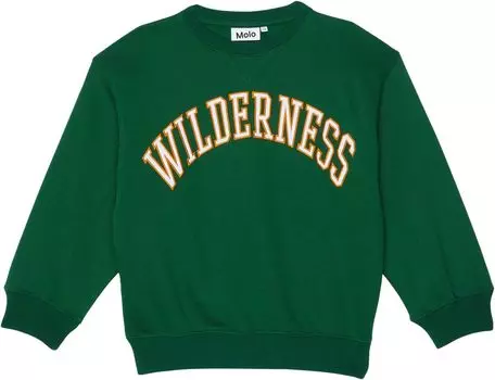 Толстовка Molo Magni, цвет Eden