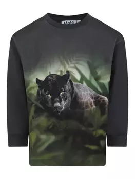Толстовка Molo panther, серый