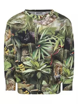 Толстовка Molo с принтом по всей поверхности, зеленый