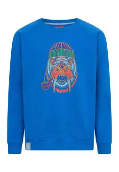 Толстовка морж Derbe, синий