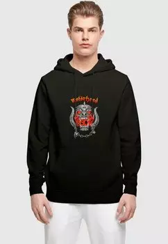 Толстовка MOTORHEAD - 50TH WARPIG FLAMES - Hoodie Merchcode, черный