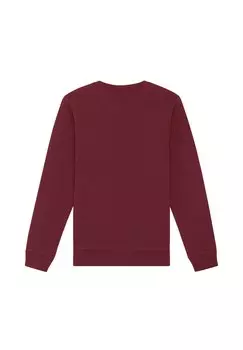 Толстовка MOUNTAINS watapparel, темно-красный