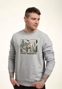 Толстовка MTV DESERT LOGO Henry Tiger, серый