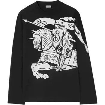 Толстовка мужская черная Burberry, черный