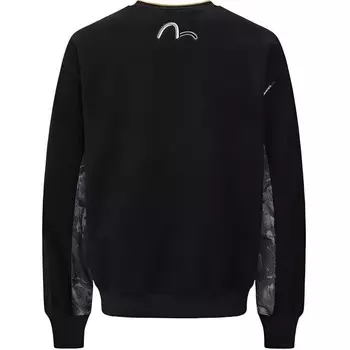 Толстовка мужская черная Evisu, черный