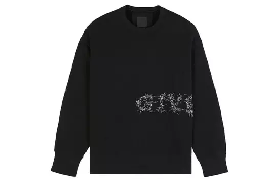 Толстовка мужская черная Givenchy, черный