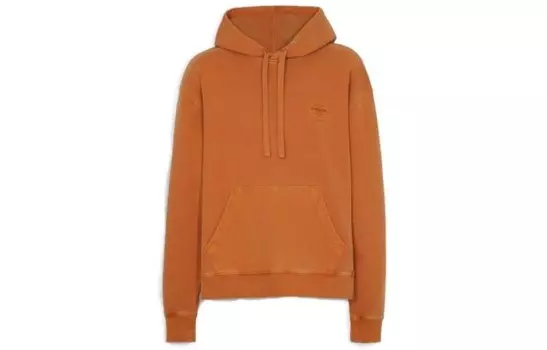 Толстовка мужская Coach, серый