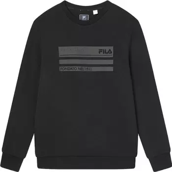 Толстовка мужская, цвет черный как смоль Fila, черный