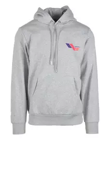 Толстовка мужская Diesel с капюшоном, серый