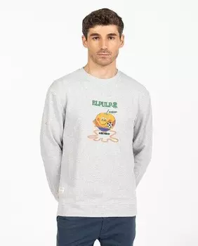 Толстовка мужская Elpulpo, серый