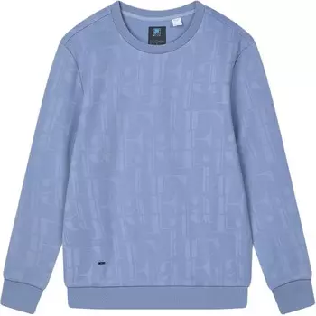 Толстовка мужская Harmonic Blue Fila, синий