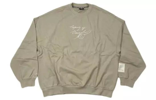 Толстовка мужская коричневая Lining, коричневый