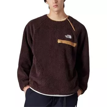 Толстовка мужская коричневая The North Face, коричневый