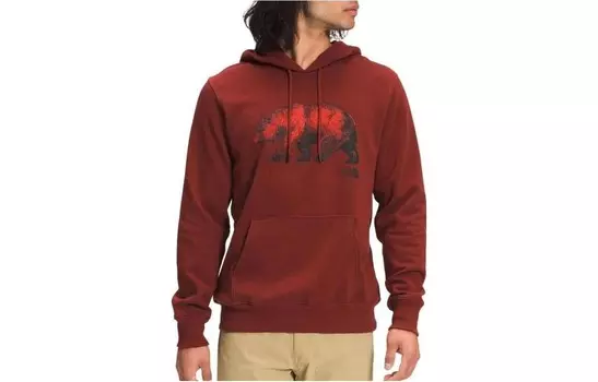 Толстовка мужская красная The North Face, красный