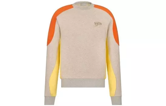 Толстовка мужская многоцветная Dior, цвет Multicolor