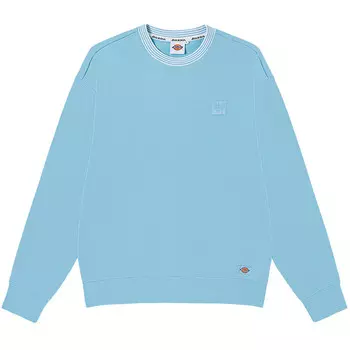 Толстовка мужская небесно-голубая Dickies, голубой