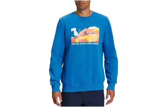 Толстовка мужская небесно-голубая The North Face, голубой